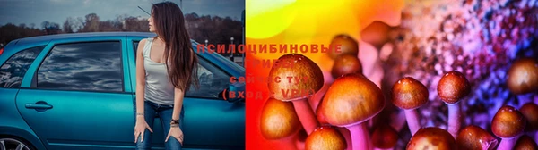 гидропоника Покровск