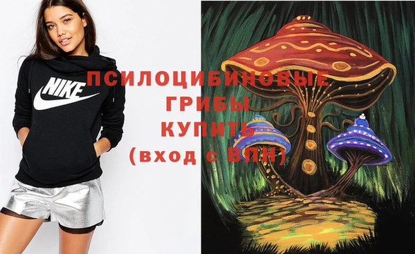 хмурый Бронницы