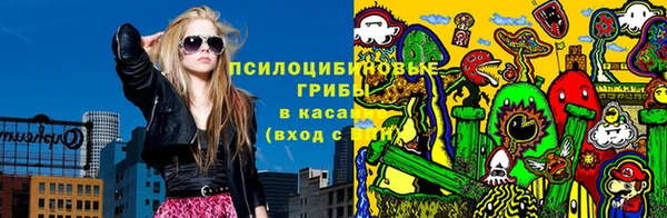 PSILOCYBIN Бородино