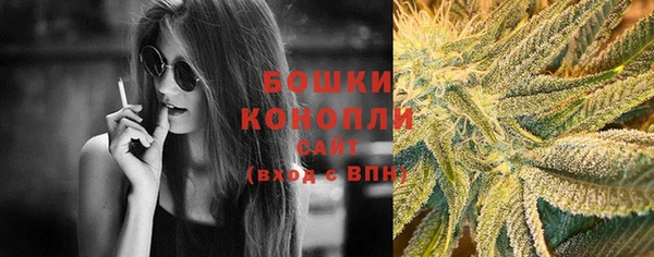 хмурый Бронницы