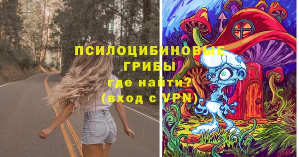 PSILOCYBIN Бородино