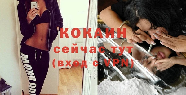 PSILOCYBIN Бородино