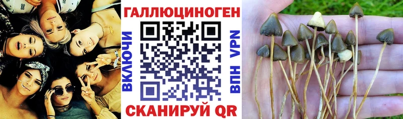 Псилоцибиновые грибы ЛСД мега ONION Можайск как найти